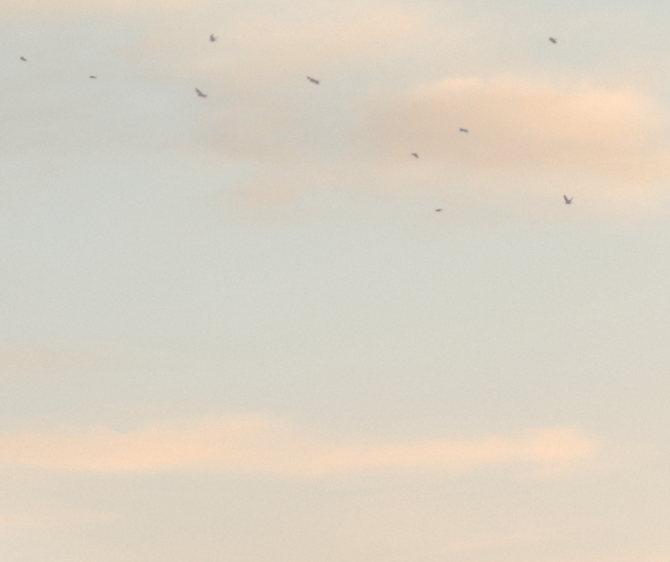 How Slowing Down can Work in Your&nbsp;Favor